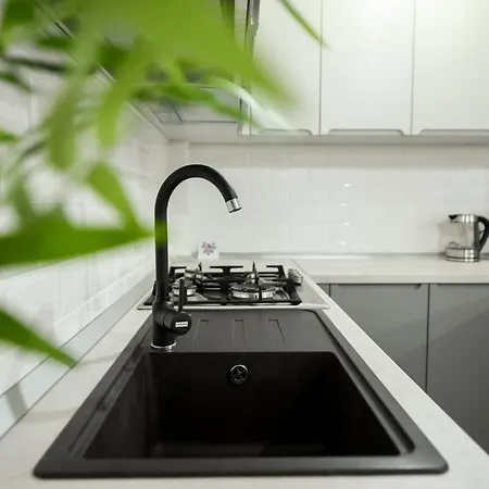 Simple Yet Stylish. Piata Revolutiei شقة بوخارست